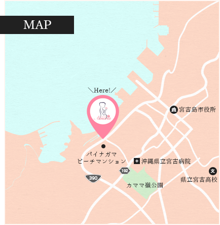 アクセスマップ